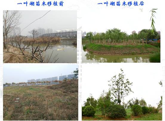 QQ截图20180626161120.jpg