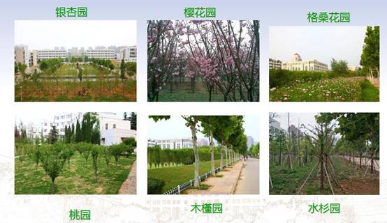 QQ截图20180626160854.jpg