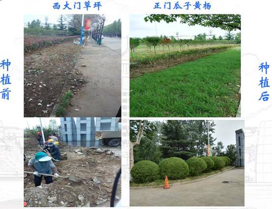 QQ截图20180626161209.jpg