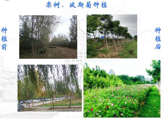 QQ截图20180626161132.jpg