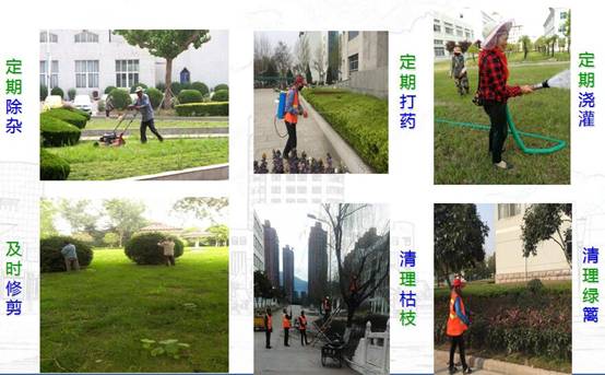 QQ截图20180626161706.jpg